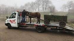 Enlace a Asistencia en carretera