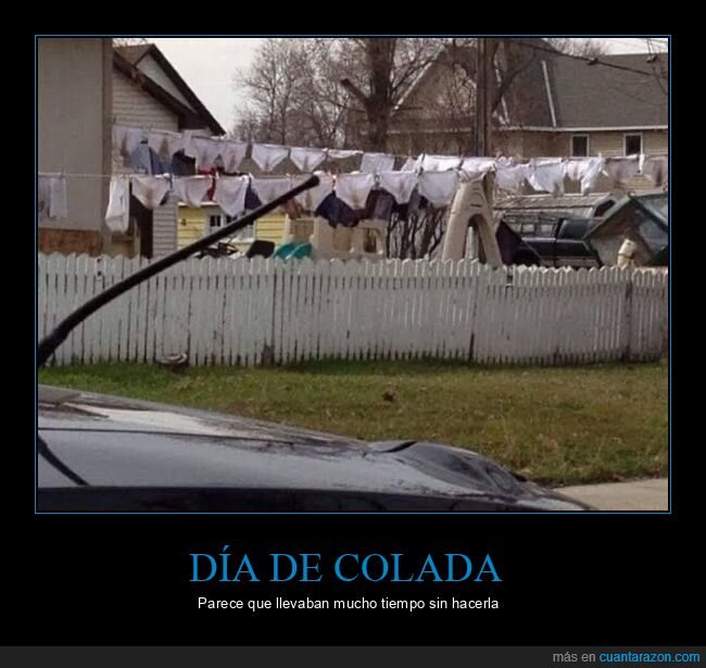 tendedero,calzoncillos,wtf