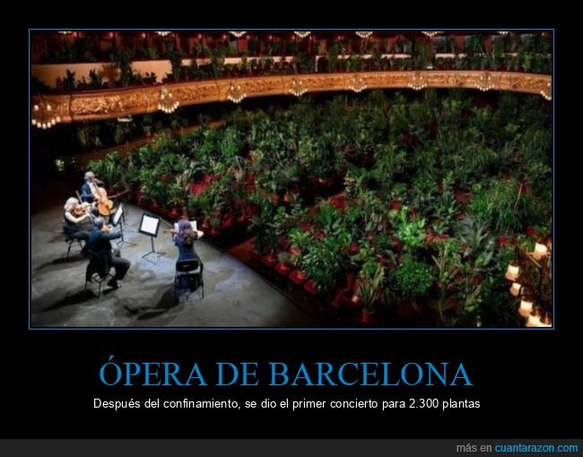 ópera,barcelona,plantas,concierto,coronavirus