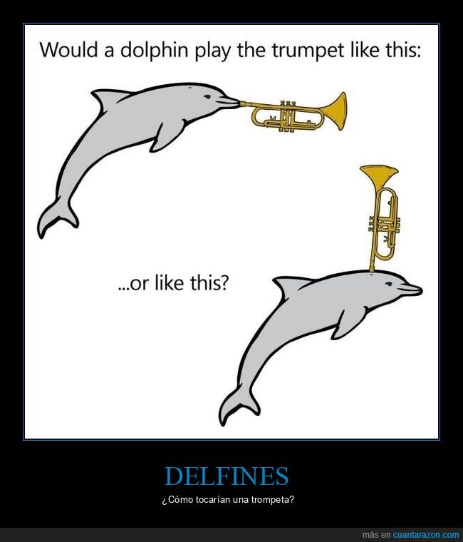 delfines,tocar,trompeta