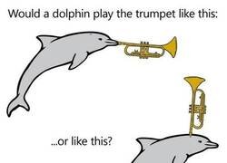 Enlace a Preguntas que quitan el sueño