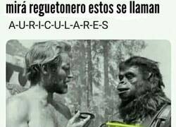 Enlace a Jamás lo entenderán