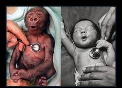 Enlace a Parecidos razonables