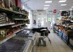 Enlace a ¿Podrá salir?