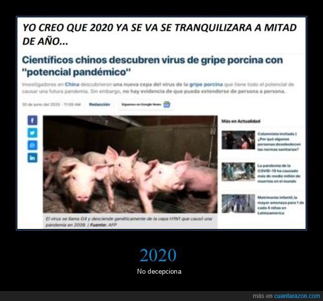 2020,virus,gripe porcina,pandemia,coronavirus