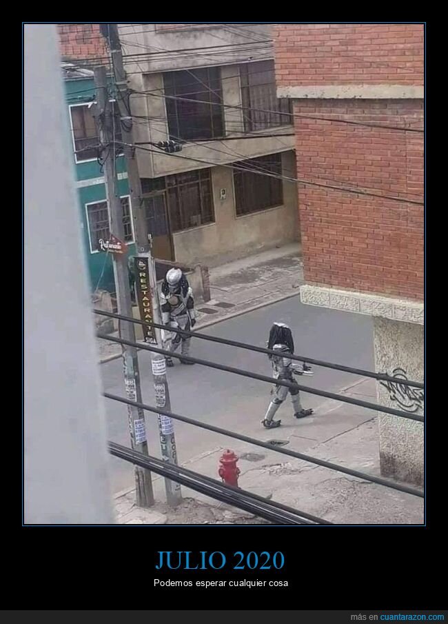 julio,2020,depredador,wtf