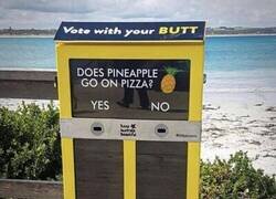 Enlace a Pizza con piña, ¿sí o no?