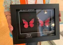 Enlace a Comparativa de cristales