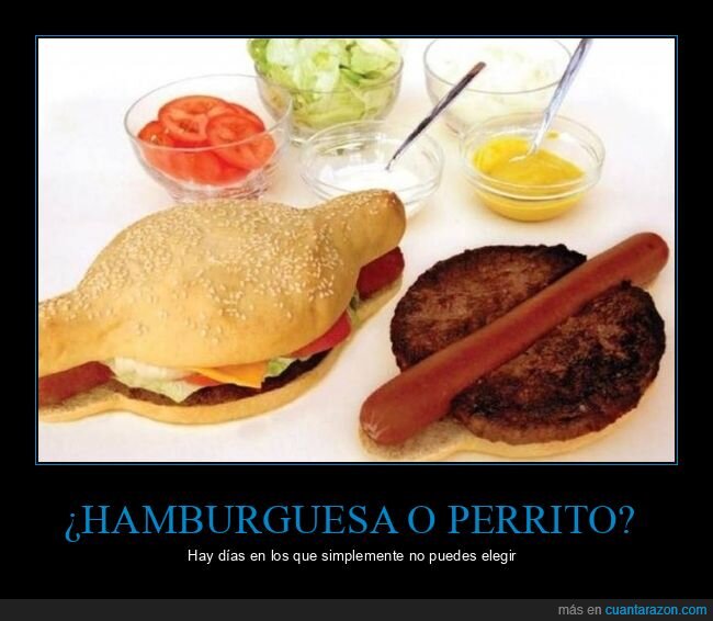 hamburguesa,hot dog,pan,wtf