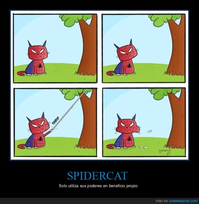 gato,spiderman,pájaro,comiendo