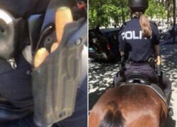 Enlace a Combustible para el caballo