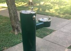 Enlace a Bebedero para todos