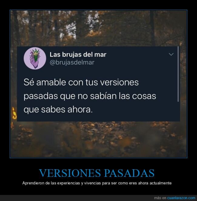 amable,versiones,pasadas,saber,experiencia