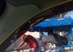 Enlace a Se merece una buena propina