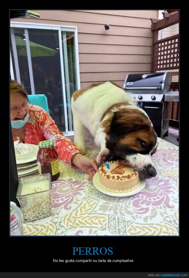 perro,tarta,cumpleaños