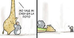 Enlace a Cómics para cambiar la imagen del aligator