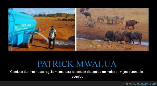 patrick mwalua,agua,animales,sequías