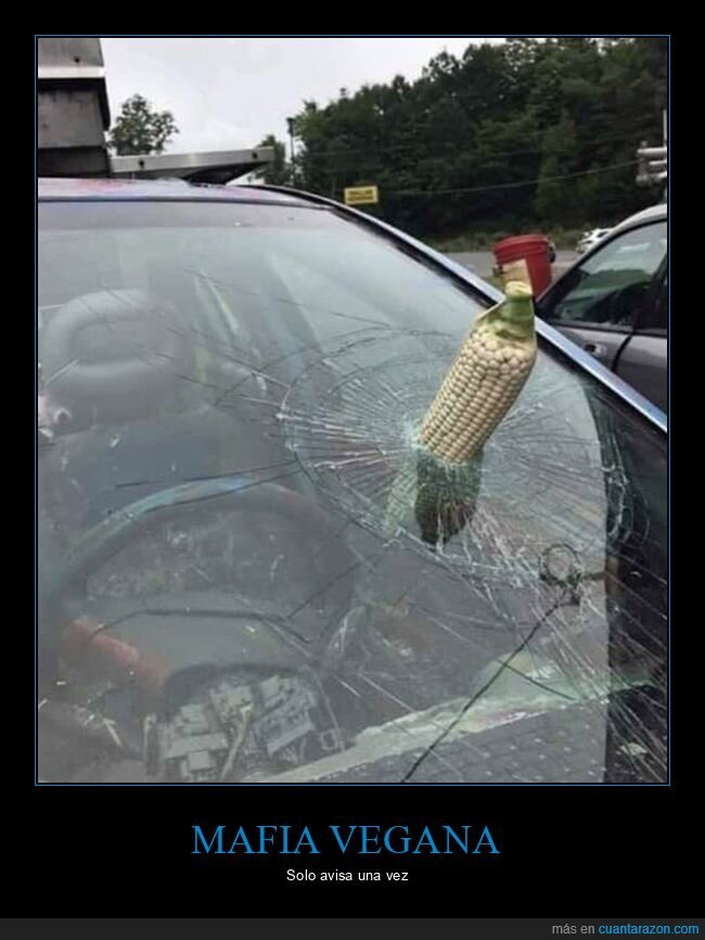 mazorca,parabrisas,coche,wtf