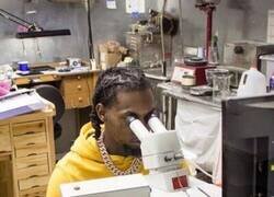 Enlace a Lo que sea por perrear