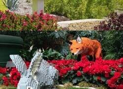 Enlace a El Zoo de San Antonio ha reemplazado todos los animales por sus copias hechas de LEGO