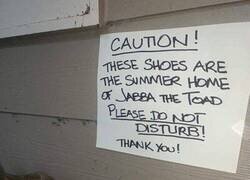 Enlace a Pobre animalillo, con lo que goza en su nueva casa