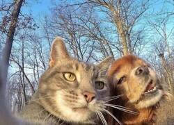 Enlace a VENGA TÍO, UN SELFIE