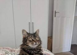 Enlace a Su cara le delata