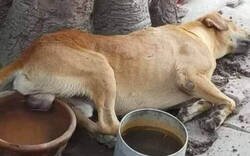 Enlace a Refrescando lo importante