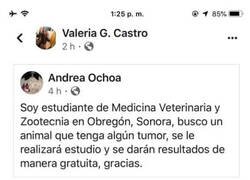 Enlace a Veterinaria en prácticas