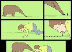 Enlace a Historia de amor interespecie