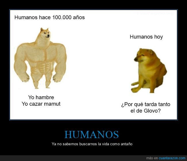 humanos,antes,ahora,comida,mamut,glovo,doge y cheems