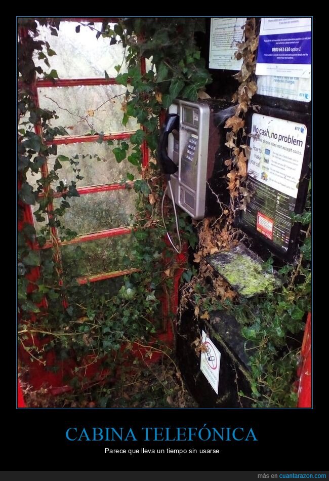 cabina telefónica,plantas,wtf