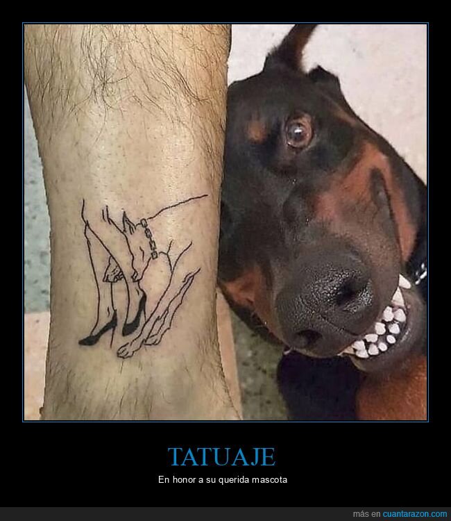 tatuaje,perro,mordiendo,pierna