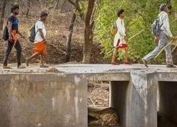 Enlace a Como se despierte...