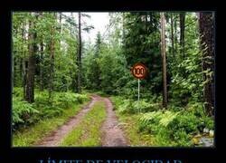 Enlace a Seguro que hay radares