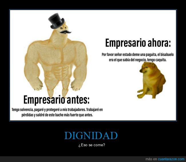 empresarios,antes,ahora,doge y cheems