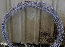 Enlace a Una metáfora acertada