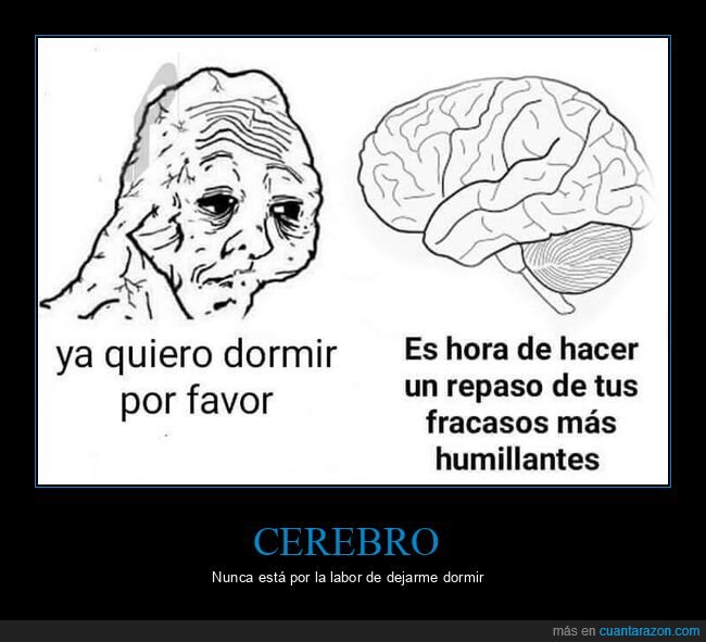 cerebro,fracasos,repaso