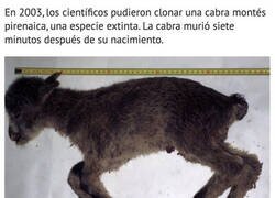 Enlace a Doble extinción