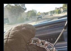 Enlace a No fue tan buena idea ese volante...