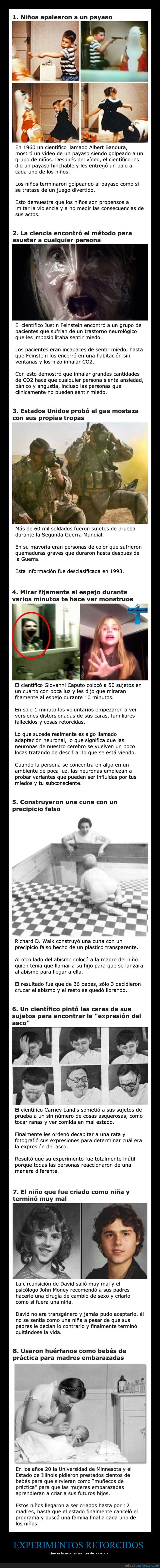 experimentos,ciencia