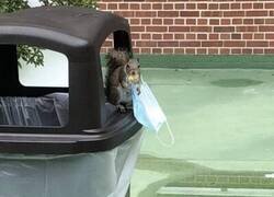 Enlace a Problema de tallaje