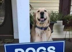 Enlace a Tiene mi voto