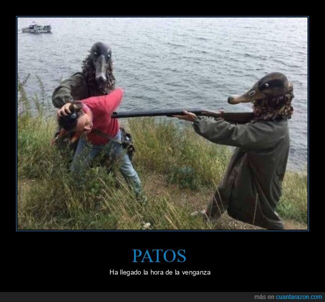 patos,cazador,rifle