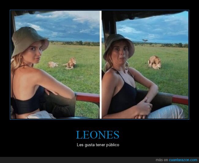 leones,wtf