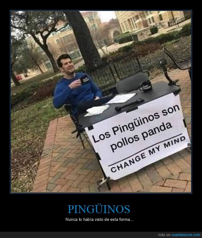 change my mind,pandas,pingüinos