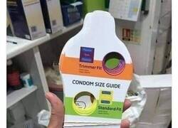 Enlace a Guía básica