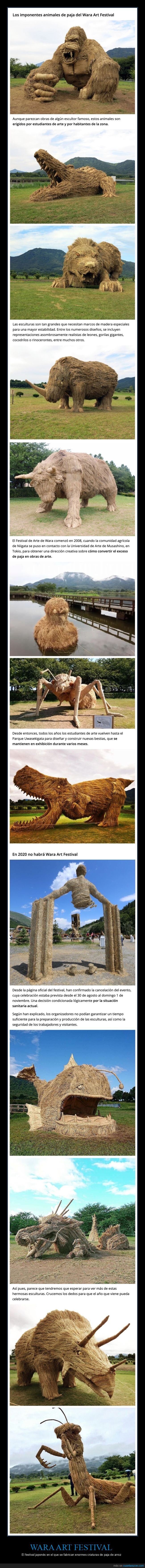 wara art festival,japón,esculturas,paja