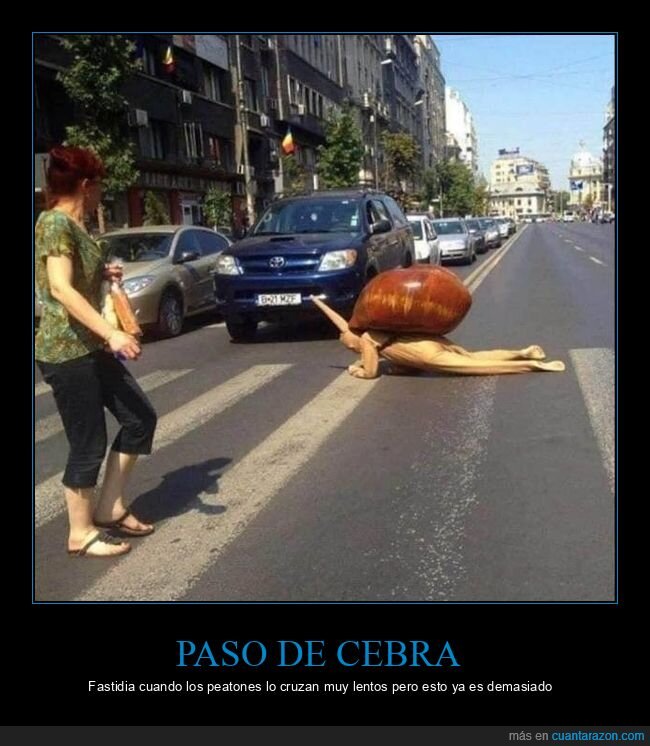 paso de cebra,disfraz,caracol,wtf