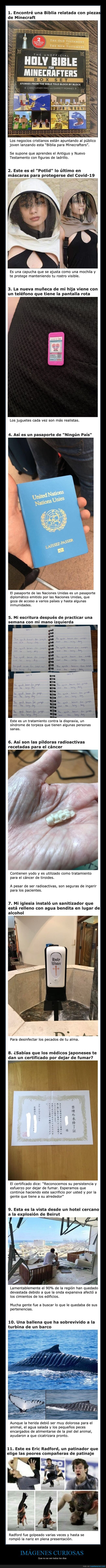 imágenes curiosas,curiosidades
